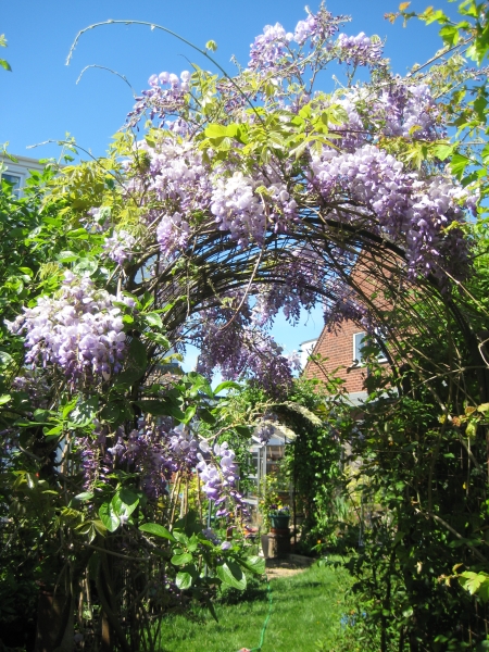 Alvechurch Gardens